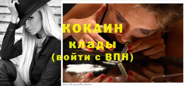 амф Верхний Тагил