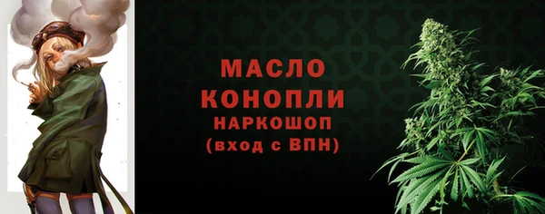 амф Верхний Тагил
