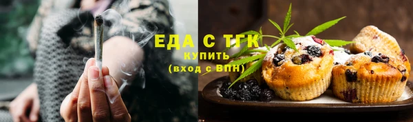 амф Верхний Тагил