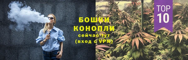 спиды Верея