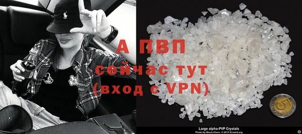 спиды Верея